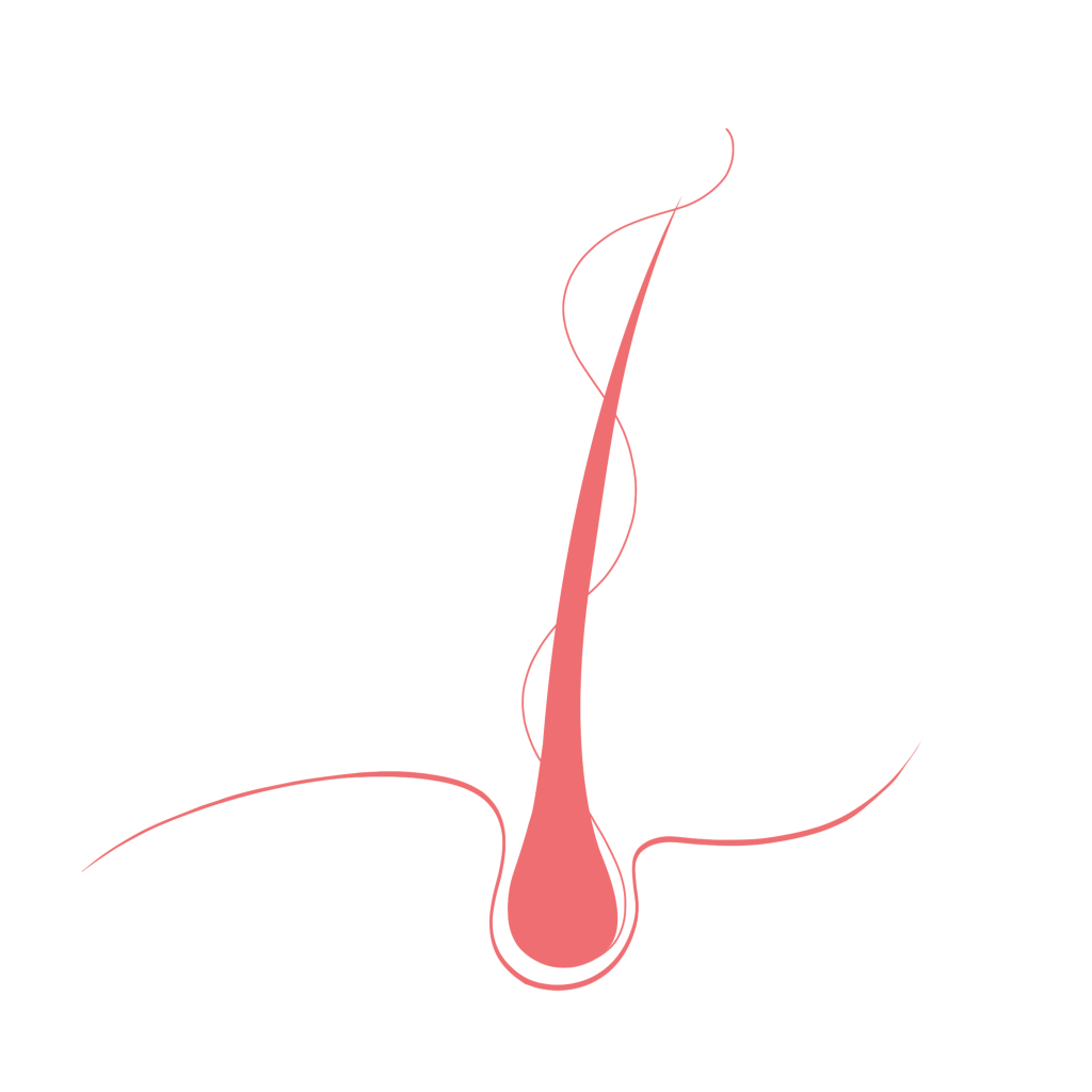 Capilar_PNG
