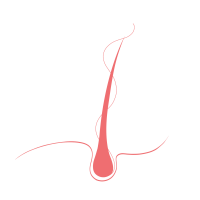 Capilar_PNG